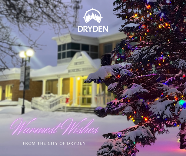 A close up of the pine tree in the city hall lawn, lit up at dusk with colorful christmas lights.