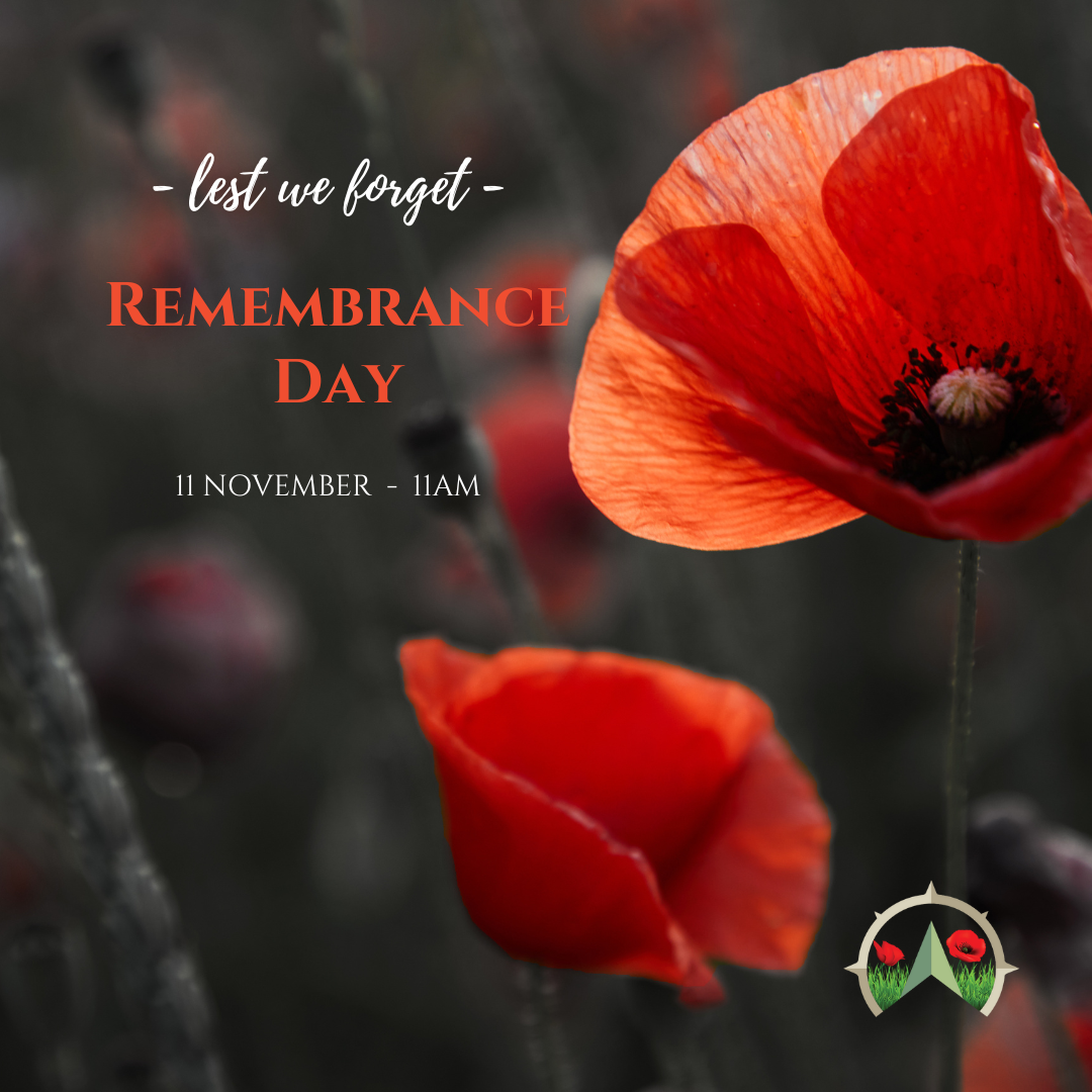 Remembrance Day banner with an image of poppies with a dark background.